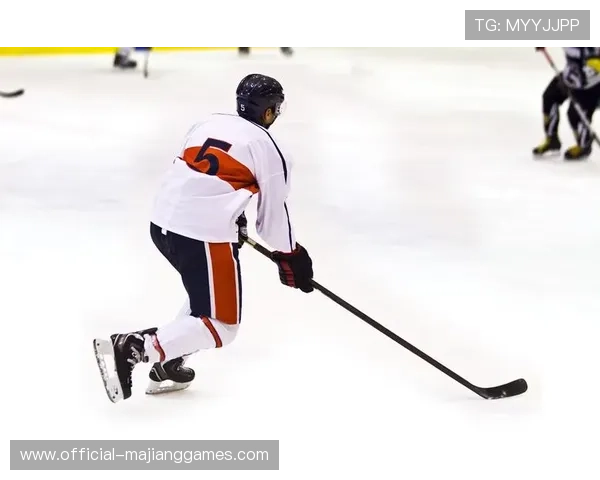 曲棍球与冰球规则区别:场地与冲撞尺度不同 曲棍球与冰球规则区别:场地与冲撞尺度不同